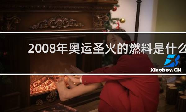 2008年奥运圣火的燃料是什么
