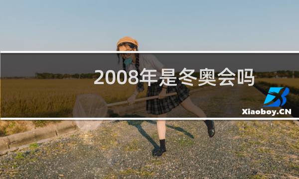 2008年是冬奥会吗