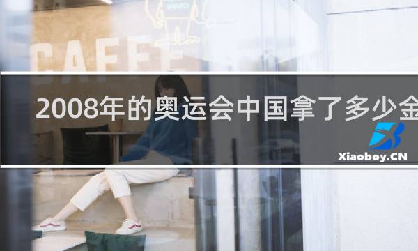 2008年的奥运会中国拿了多少金牌