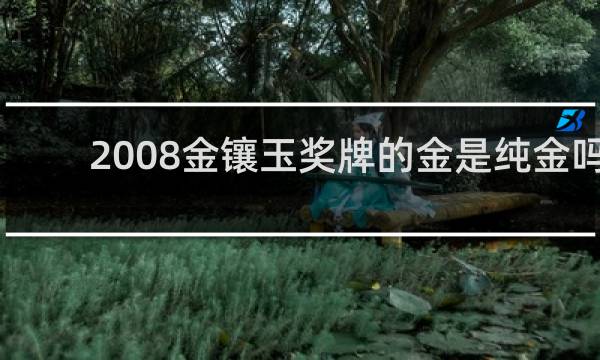 2008金镶玉奖牌的金是纯金吗