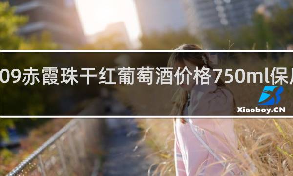 2009赤霞珠干红葡萄酒价格750ml保质期多久