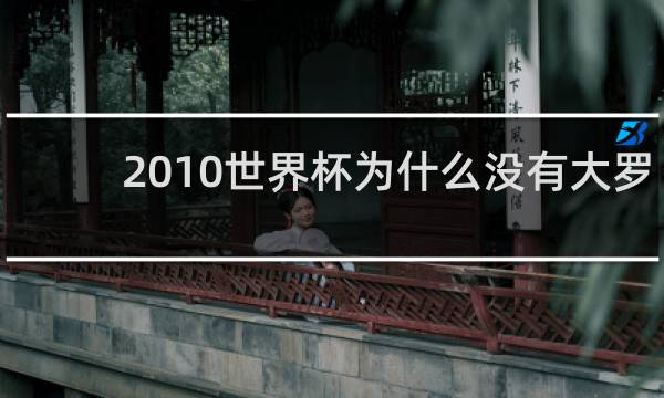 2010世界杯为什么没有大罗