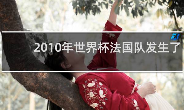 2010年世界杯法国队发生了什么事