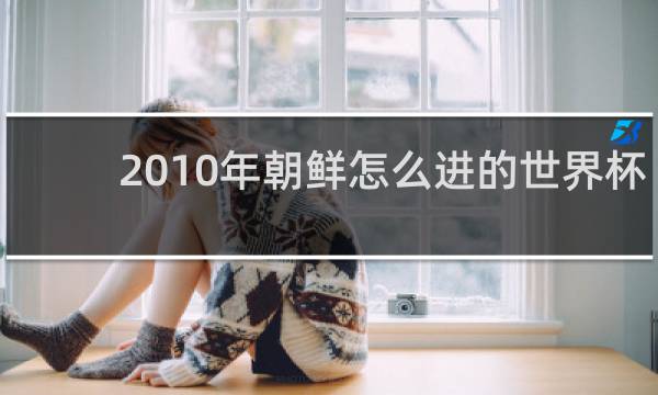 2010年朝鲜怎么进的世界杯