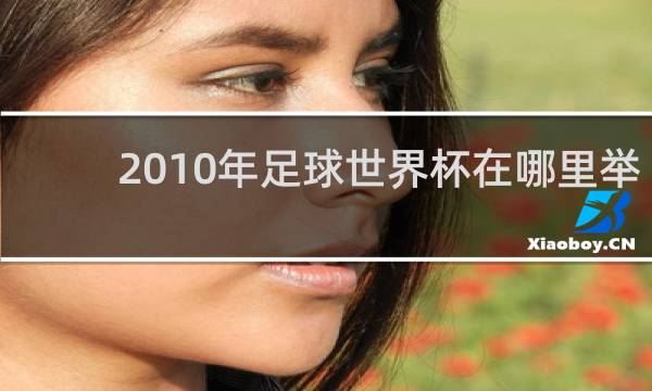 2010年足球世界杯在哪里举行