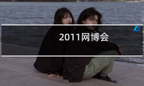 2011网博会图片