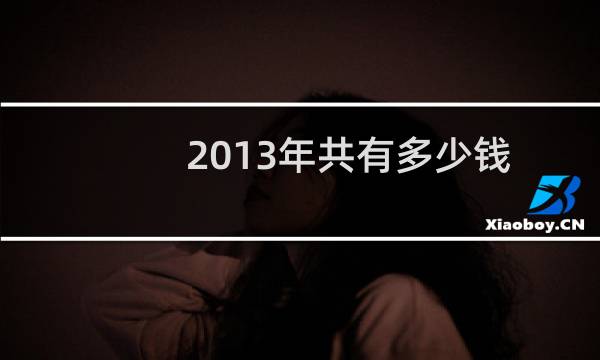 2013年共有多少钱