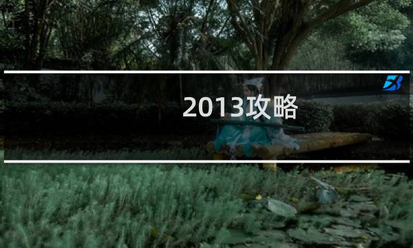 2013攻略