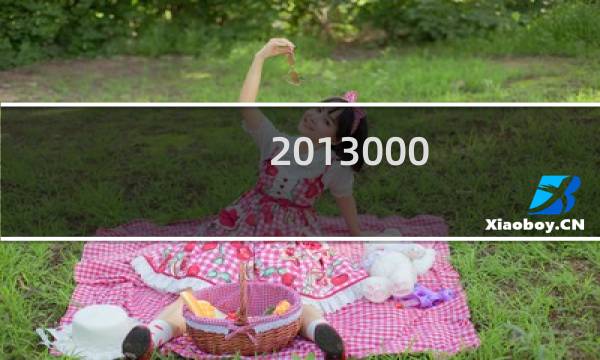 2013000图片