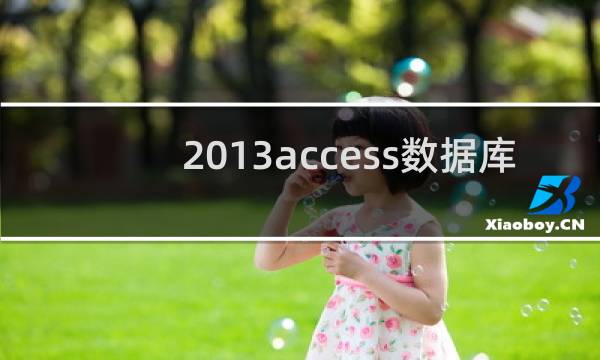 2013access数据库
