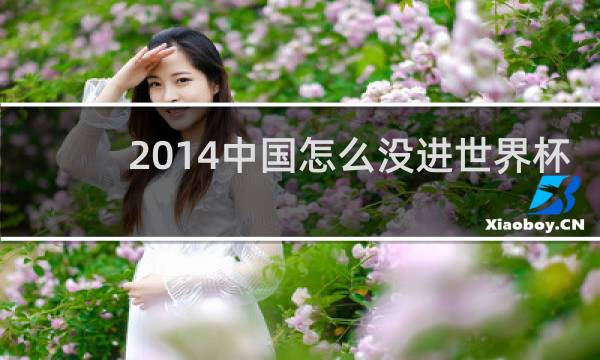 2014中国怎么没进世界杯