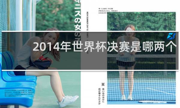 2014年世界杯决赛是哪两个国家