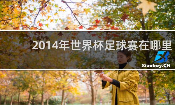 2014年世界杯足球赛在哪里举行