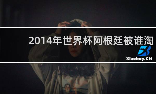 2014年世界杯阿根廷被谁淘汰