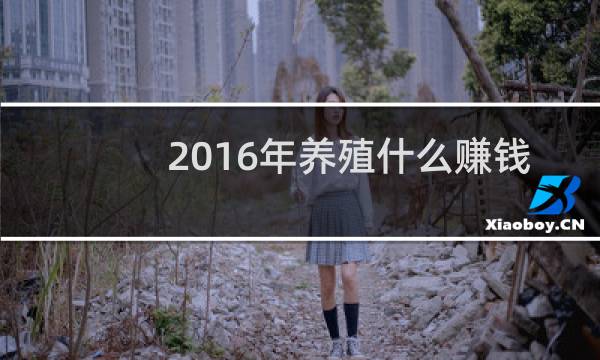 2016年养殖什么赚钱