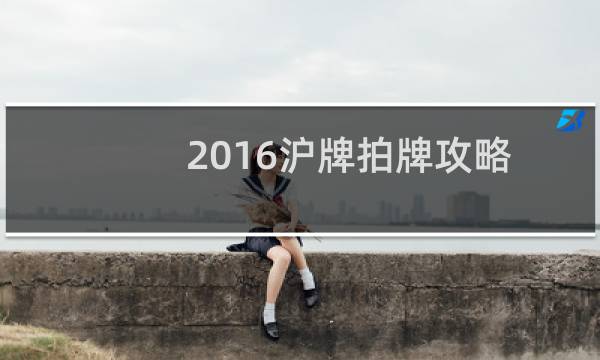 2016沪牌拍牌攻略