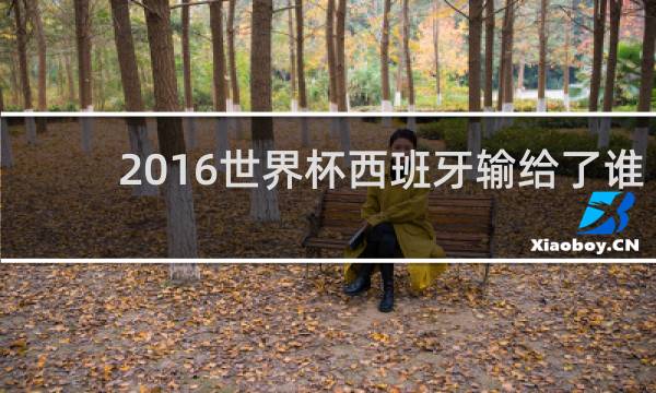 2016世界杯西班牙输给了谁
