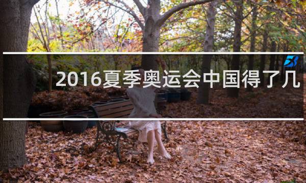 2016夏季奥运会中国得了几块金牌