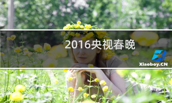 2016央视春晚
