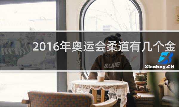 2016年奥运会柔道有几个金牌