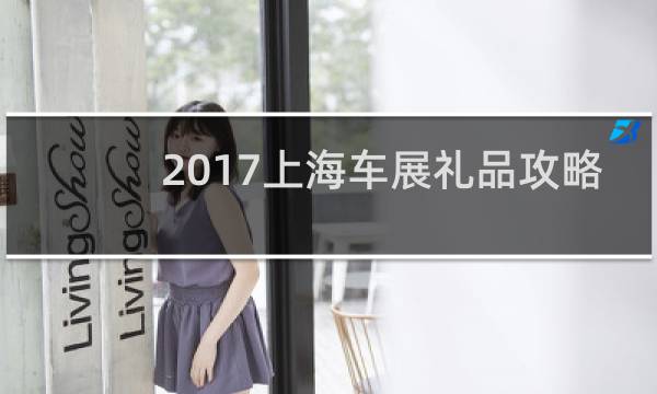 2017上海车展礼品攻略