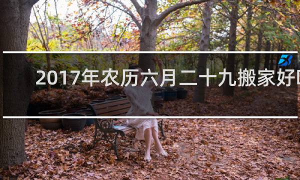 2017年农历六月二十九搬家好吗