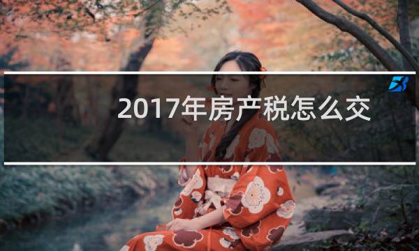 2017年房产税怎么交