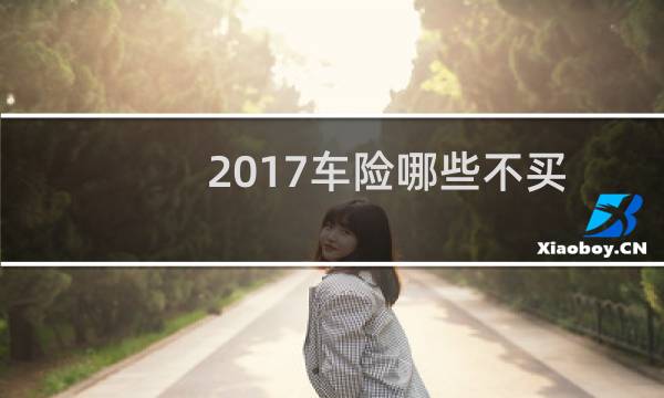 2017车险哪些不买