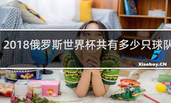 2018俄罗斯世界杯共有多少只球队参加