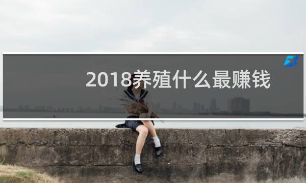2018养殖什么最赚钱