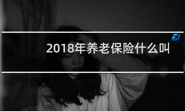 2018年养老保险什么叫