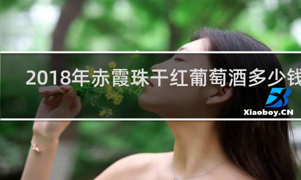2018年赤霞珠干红葡萄酒多少钱啊