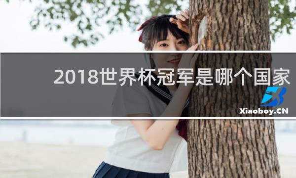 2018世界杯冠军是哪个国家队