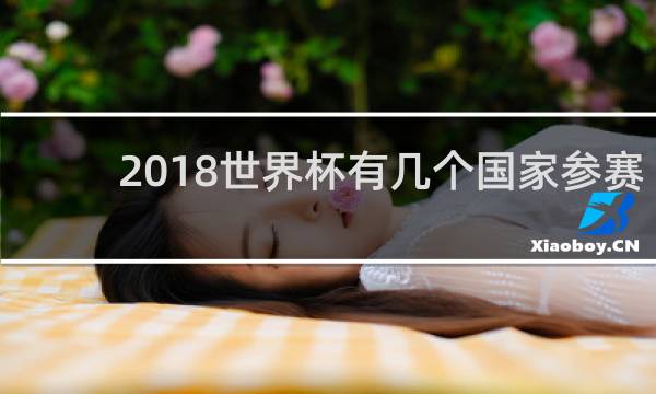 2018世界杯有几个国家参赛