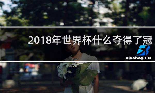 2018年世界杯什么夺得了冠军