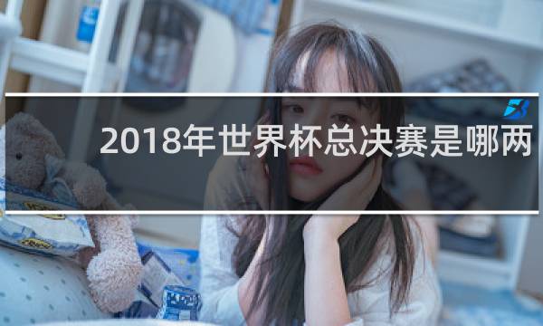 2018年世界杯总决赛是哪两个国家