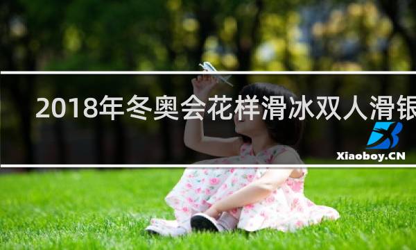 2018年冬奥会花样滑冰双人滑银牌