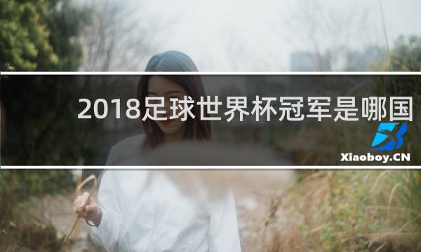 2018足球世界杯冠军是哪国