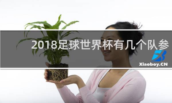 2018足球世界杯有几个队参加
