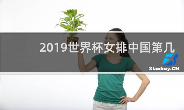 2019世界杯女排中国第几