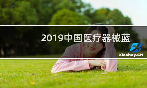 2019中国医疗器械蓝皮书