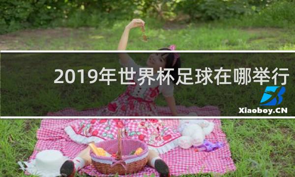 2019年世界杯足球在哪举行