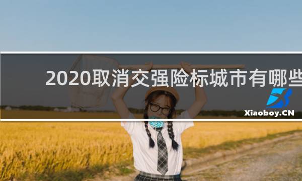 2020取消交强险标城市有哪些