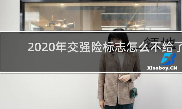 2020年交强险标志怎么不给了