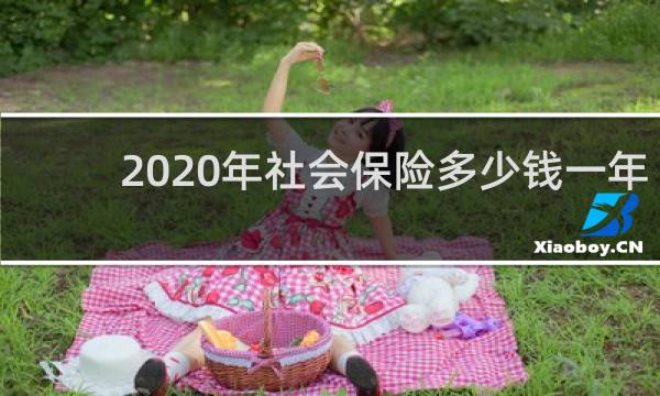 2020年社会保险多少钱一年