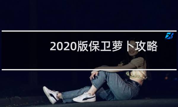 2020版保卫萝卜攻略