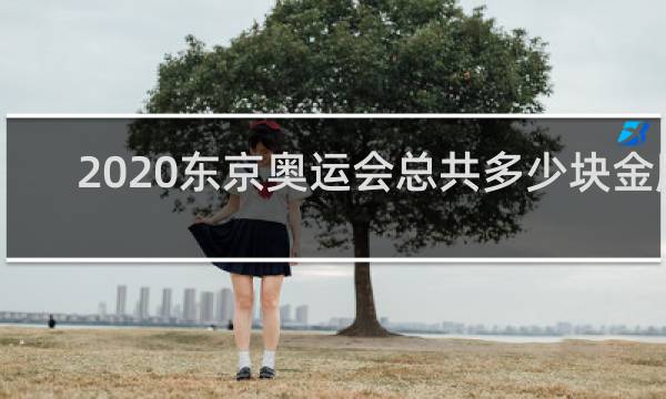 2020东京奥运会总共多少块金牌
