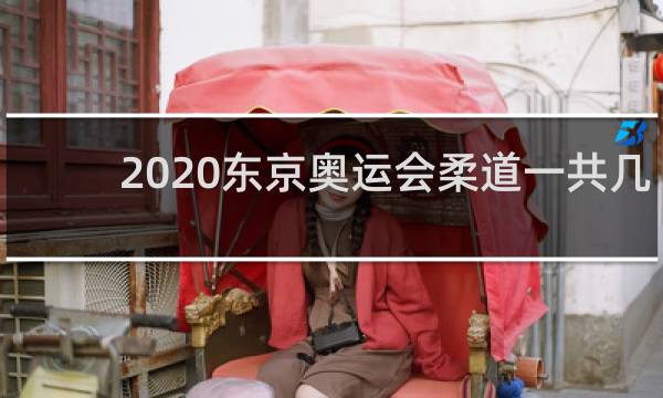 2020东京奥运会柔道一共几枚金牌