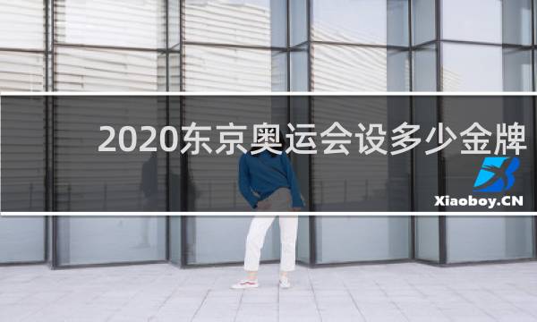 2020东京奥运会设多少金牌