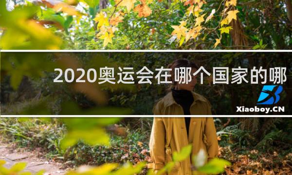 2020奥运会在哪个国家的哪个城市举行2016